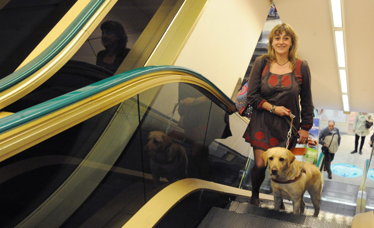 41 perros guías guían a personas ciegas en Galicia gracias a la labor de la ONCE