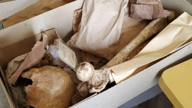 Muestras de los huesos que se utilizarán en el estudio