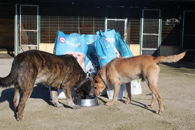 Gadis entrega a protectoras de animales productos para perros y gatos