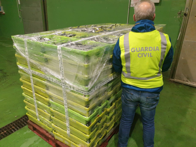 Casi dos toneladas de sardinas incautadas por la Guardia Civil en el puerto de Portosín, en Porto do Son (A Coruña).