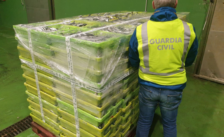 La Guardia Civil incauta cerca de 2.000 kilos de sardina en Portosín