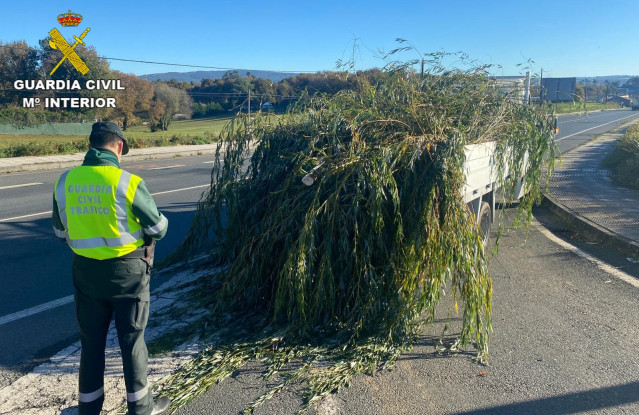 La Guardia Civil denuncia en Silleda (Pontevedra) al conductor de una furgoneta cargada con ramas de árboles sin sujección, arrastrando por la calzada y tapando los dispositivos de iluminación y la matrícula.