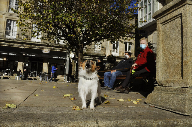 Un perro ladra en la plaza Mayor de O Carballiño donde hoy se levanta el cierre perimetral y reabre la hostelería, en O Carballiño, Ourense, Galicia, (España), a 21 de noviembre de 2020. Esta nueva fase de desescalada se produce tras la decisión de la Xun