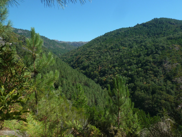 Paisaje Reserva Xures Geres