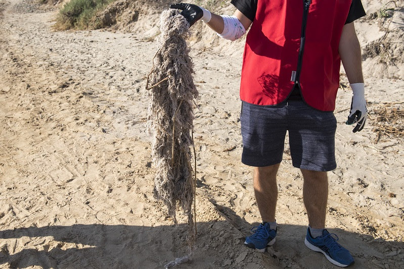 Restos de toallitas acumuladas en una playa y recogidas por los voluntarios de Proyecto Libera, de Ecoembes y Seo/BirdLife.