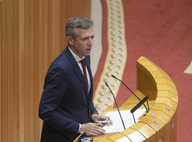 El vicepresidente de la Xunta, Alfonso Rueda, durante su intervención.