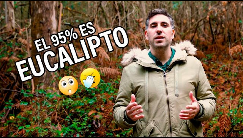 Cap. 5: El 95% del monte está ocupado por eucalipto