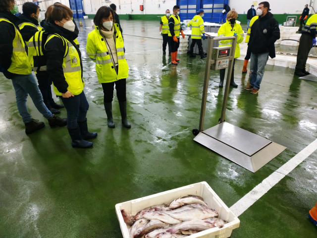 La subdelegada del Gobierno en Pontevedra, Maica Larriba, junto a responsables del Puerto de Vigo, de Sanidad Exterior y de inspección del Ministerio de Agricultura, Pesca y Alimentación, en la lonja pesquera de la ciudad olívica.