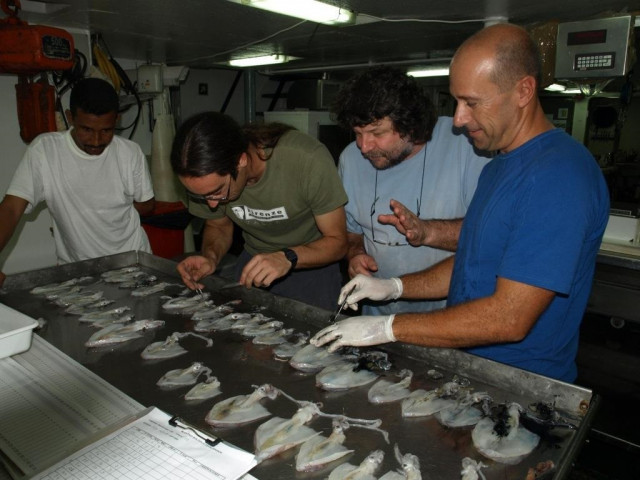 Investigadores del equipo EcoAfrik de la Universidade de Vigo y el Instituto Español de Oceanografía