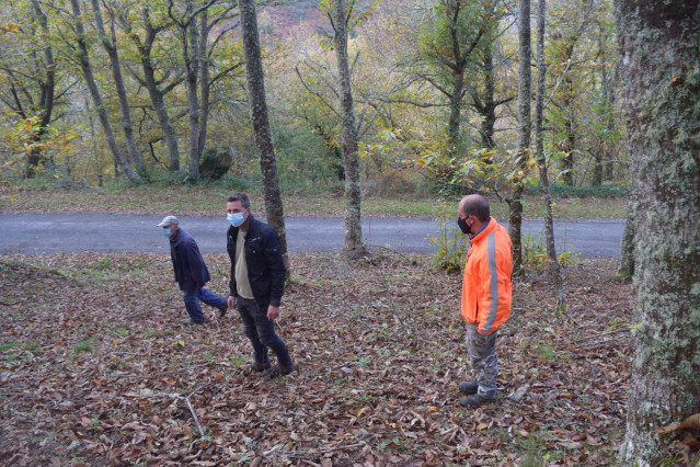 Imagen del proyecto.