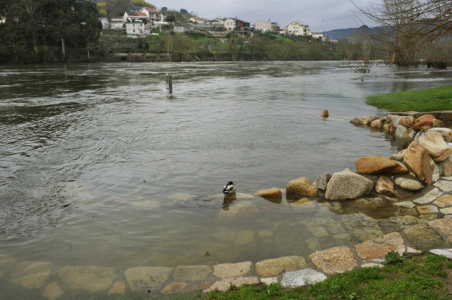 Zona termal de A Chavasqueira inundada por el río Miño en Ourense, a 11 de febrero de 2021