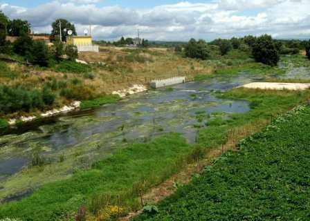El río Limia a su paso por Bande (Ourense) este lunes