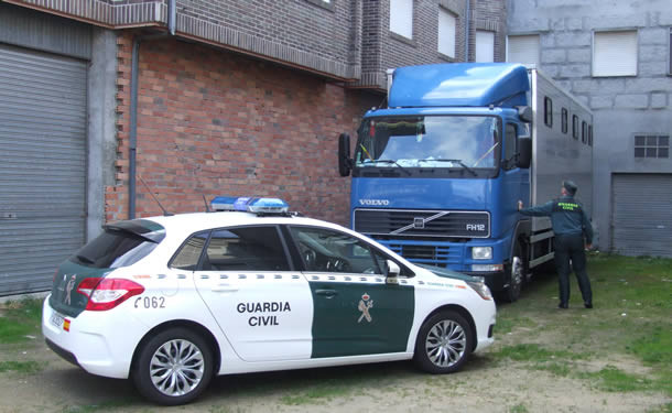 Detenidas otras tres personas en el operativo por robos en explotaciones ganaderas ourensanas