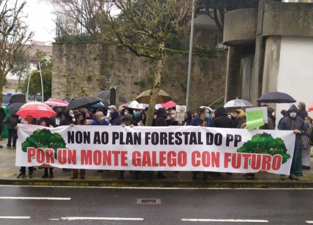 Protesta contra el plan forestal frente al parlamento en una imagen de Amigos da Terra Vigo