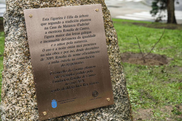 Una higuera en el parque de Santa Margarita de A Coruña recuerda la relación de Rosalía de Castro con la ciudad hace 150 años.