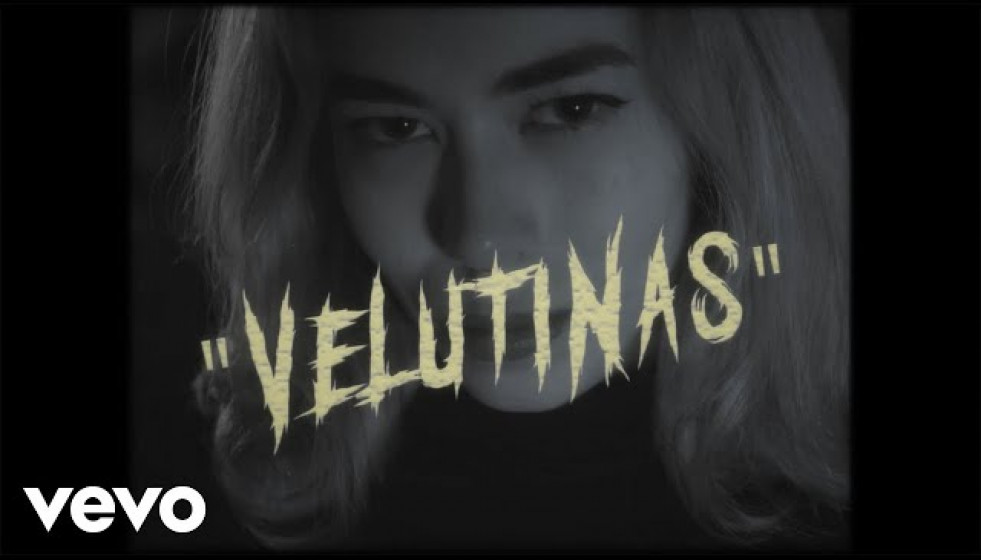 Guadi Galego - Velutinas