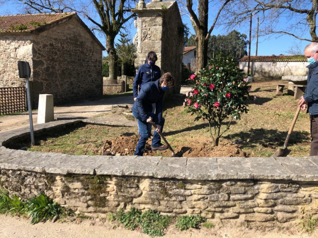 La directora de Turismo de Galicia, Nava Castro, participa en la plantación de 12 camelias en Vedra.