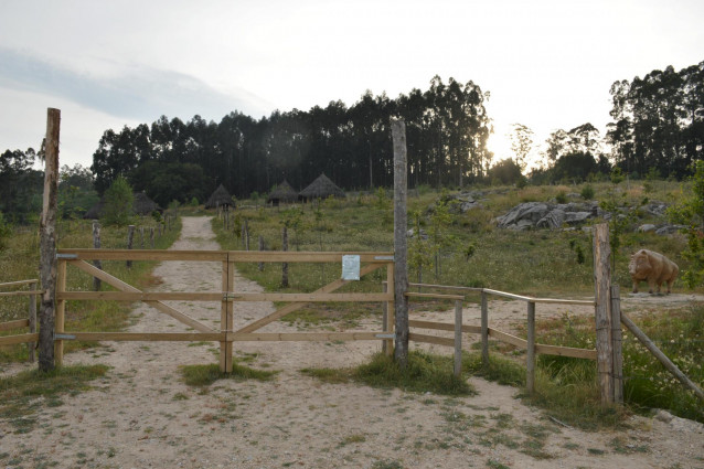 Archivo - Monte de la provincia de Pontevedra.