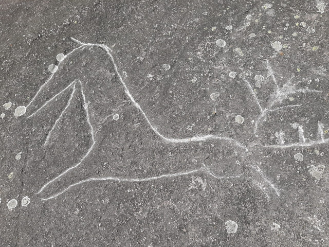 Imagen de los petroglifos de Campo Lameiro