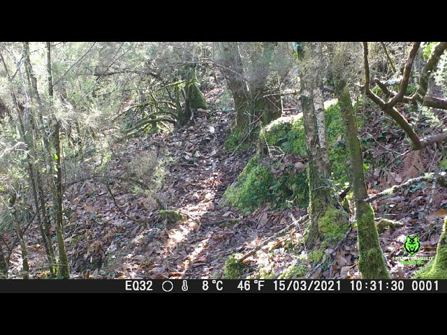 (VÍDEO) La primavera se abre paso en Galicia, a donde vuelven las lluvias para el inicio de Semana Santa