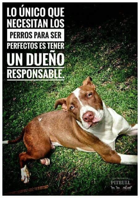 Archivo - Cartel de la Policía instando a los dueños de perros potencialmente peligrosos a ser responsables