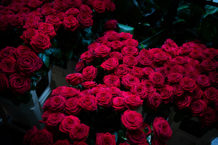 Un Sant Jordi de rosas, libros y sin acuerdo de gobierno