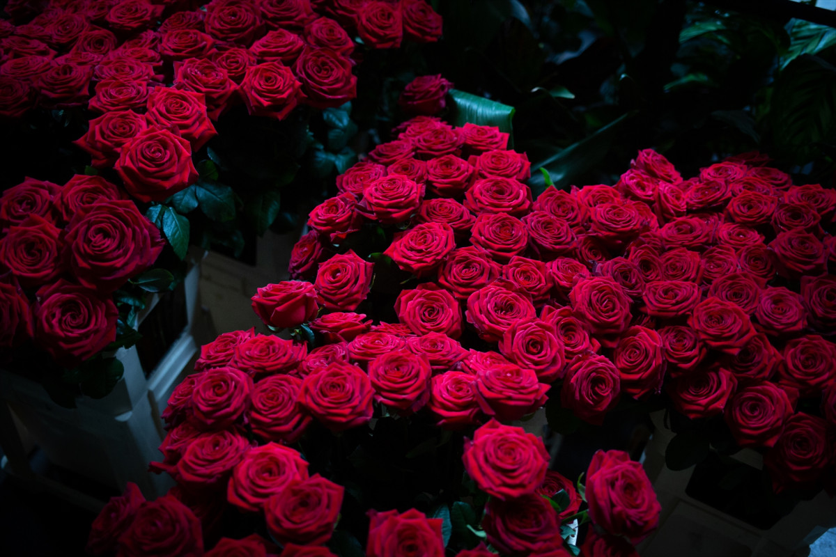 Archivo - Arxiu - Roses de Sant Jordi.