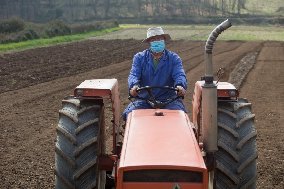 Archivo - Manuel Rodríguez ara sus fincas con el tractor y mascarilla para plantar patatas  en Lugo, Galicia (España), a 24 de marzo de 2021. El sector primario ha sido fundamental durante la pandem