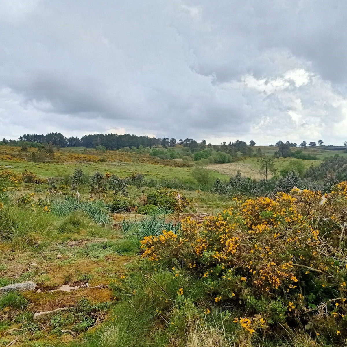 Monte do Gato, donde Greenalia y Galenergy proyectan seis parques eólicos