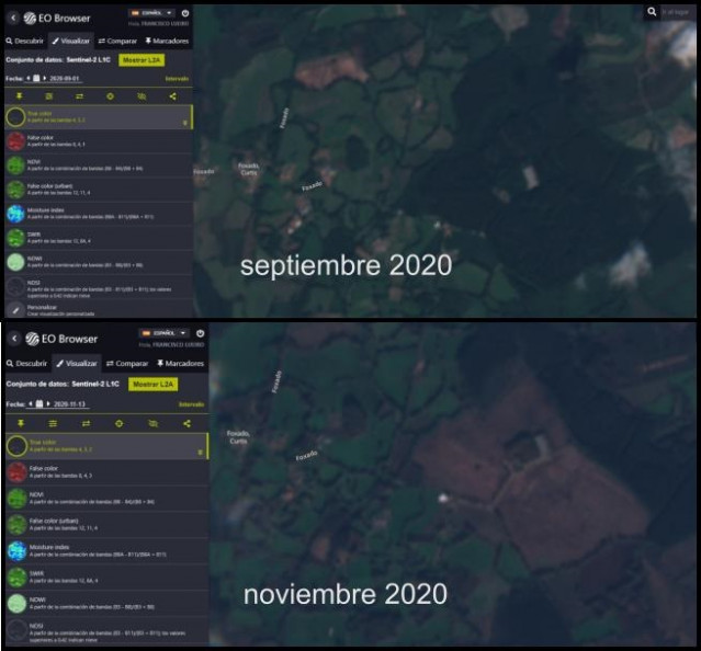 Imágenes de la superficie afectada por una tala de árboles en Curtis (A Coruña)