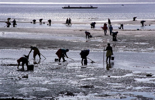 Mariscadores trabajando.