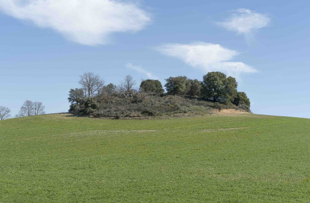 Archivo - Obra del Centro de Interpretación de Nuevo Baztán