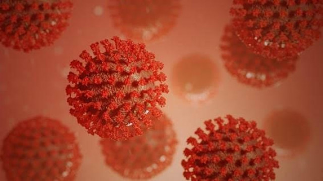 El limbo sanitario de los afectados por las secuelas del Covid