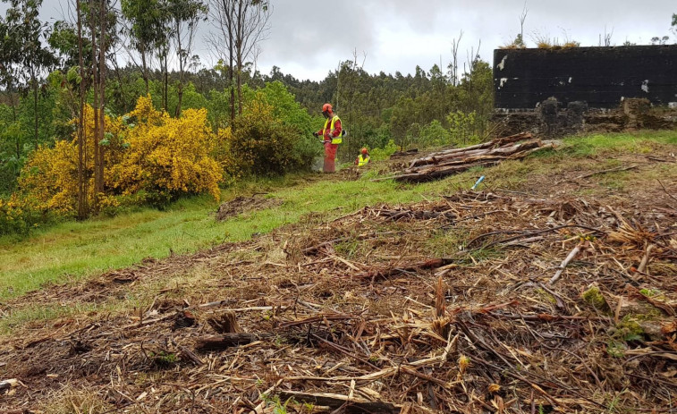 La Xunta insta a los propietarios de terrenos forestales próximos a viviendas que los limpien antes de junio
