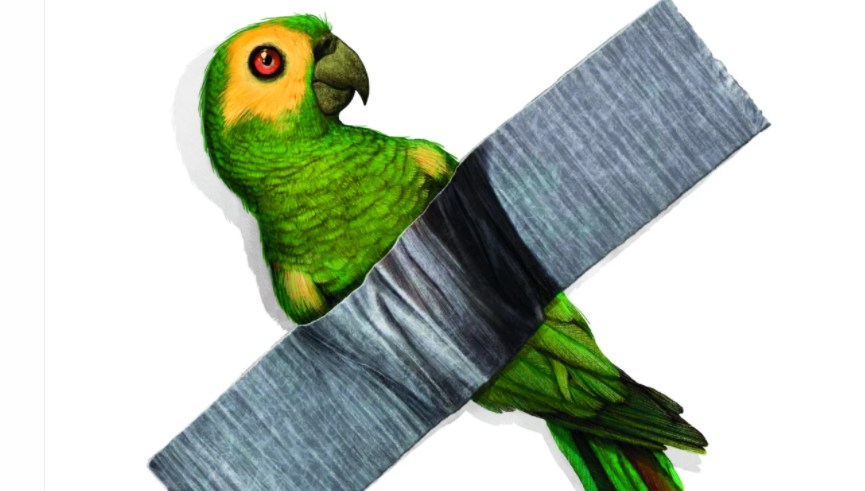 PONTEVEDRA ENTROIDO CARTAZ KIKO DA SILVA