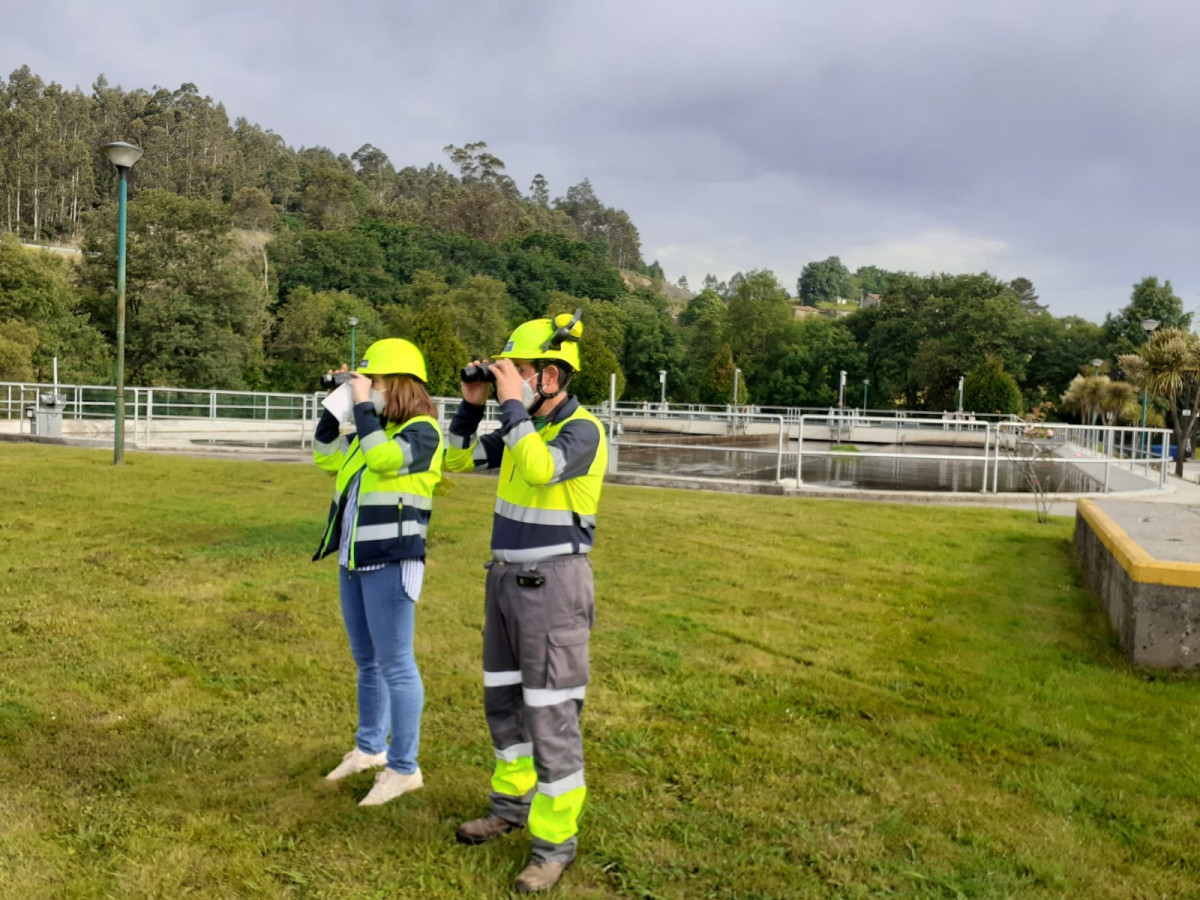Trabajadores de Viaqua en el programa de voluntariado