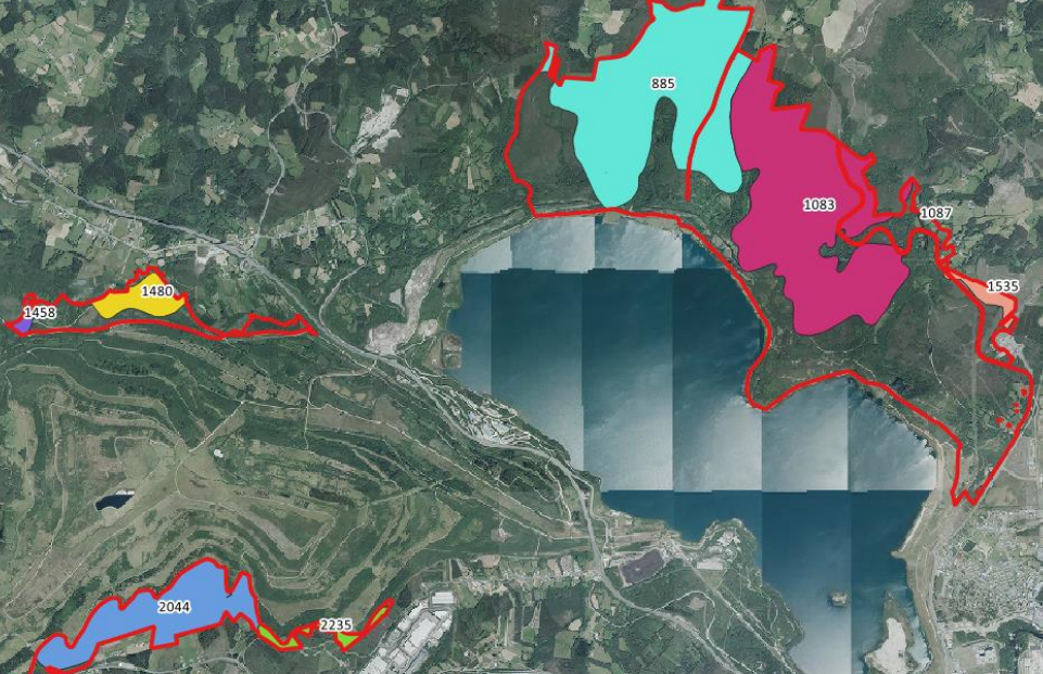 Zonas que Plafor pretende dedicar al eucalipto en el entorno del lago de As Pontes en un gru00e1fico de su proyecto