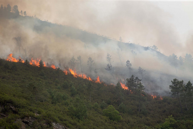 Labores de extinción del incendio forestal que se originó la pasada madrugada en el entorno de la localidad de Ferreirós de Abaixo, en el municipio de Folgoso do Courel, a 12 de junio de 2021, en Lugo, Galicia (España). El incendio forestal ha quemado una