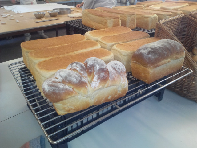 El proyecto abordó la tradición e innovación de los productos derivados del maíz gallego