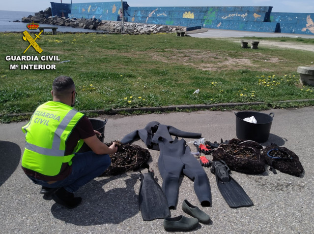 La Guardia Civil desarticula un grupo dedicado al furtivismo de marisco