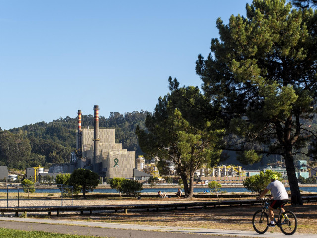 Archivo - Aenor certifica la calidad ambiental de Ence Pontevedra