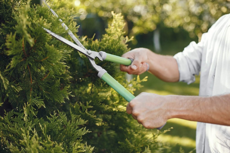 Casetas de jardín: Cómo preparar el entorno para el verano.
