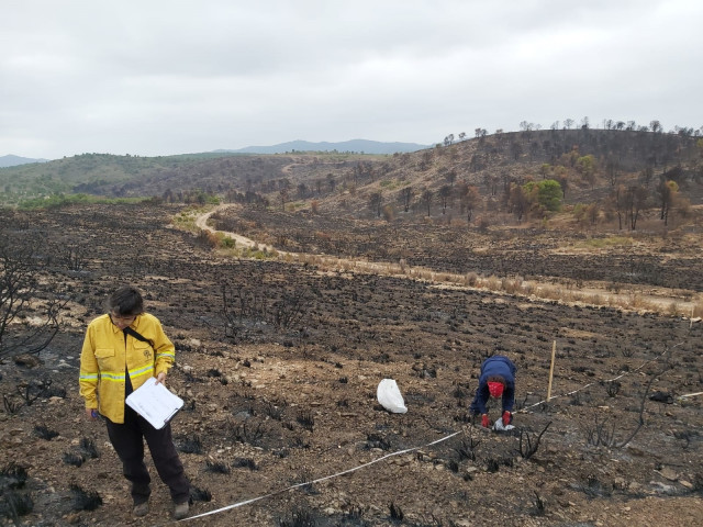 Incendio en la provincia de Albacete