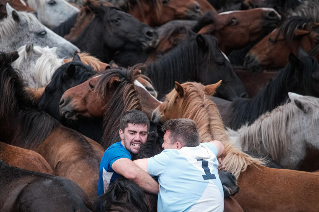 Caballos y ‘aloitadores’ en las fiestas de la Rapa das Bestas de Sabucedo, en A Estrada, Pontevedra