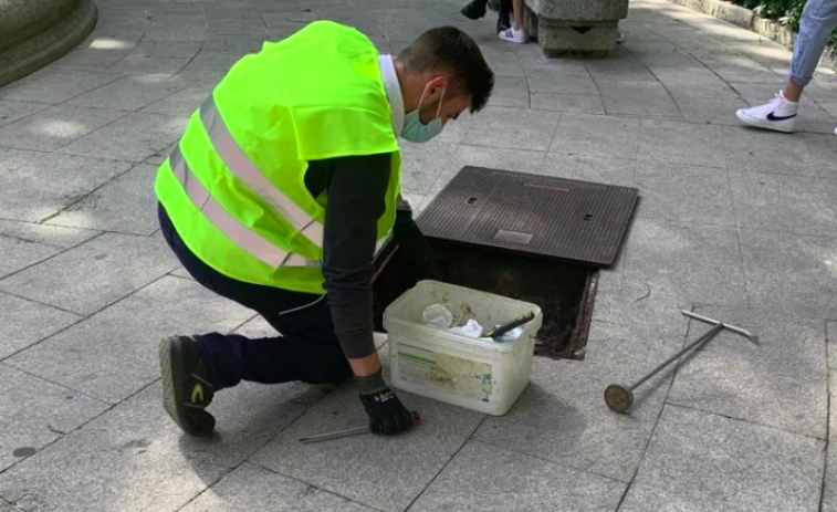 La abundancia de ratas lleva a Ourense a lanzar un plan de choque para el control de roedores