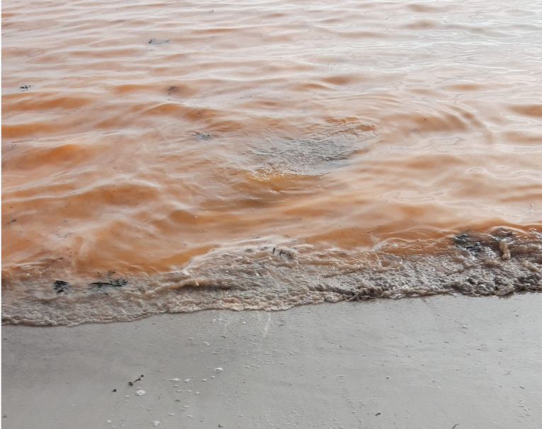 Marea roja en la playa de Limens en Cangas  MEF