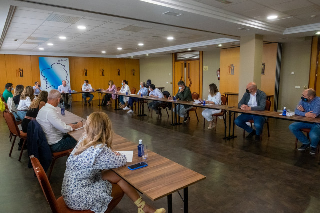 Comisión de economía, industria y empleo del PPdeG presidida por el secretario general, Miguel Tellado.