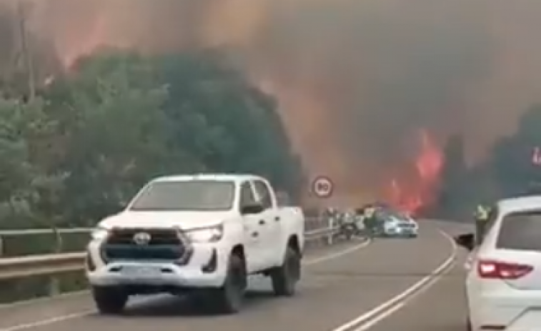 (Vídeos) Incendios sin control llevan a desalojar casas, cortar la nacional en Ribas de Sil