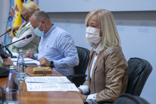 La directora xeral de Planificación e Reforma Sanitaria de la Consellería de Sanidade, Estrella López-Pardo