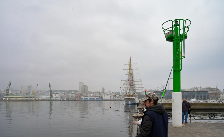 Encuentran a un estibador muerto en el Puerto de A Coruña